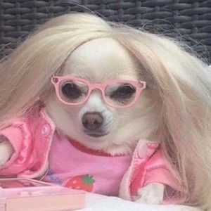 Meet your Posher, Kipper